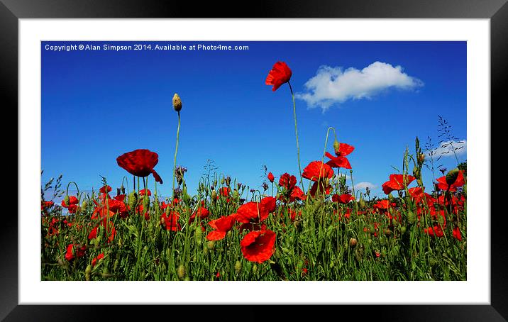  Warham Poppies Framed Mounted Print by Alan Simpson