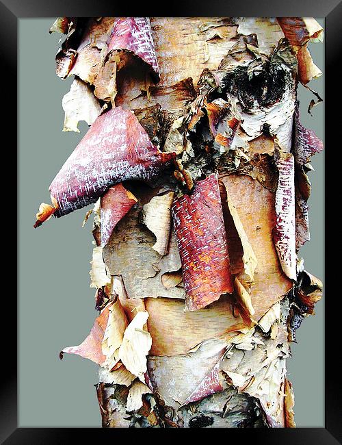 Close up Bark Framed Print by james balzano, jr.