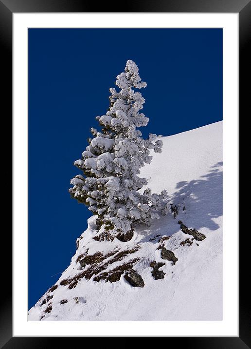 Winter tree Framed Mounted Print by Thomas Schaeffer