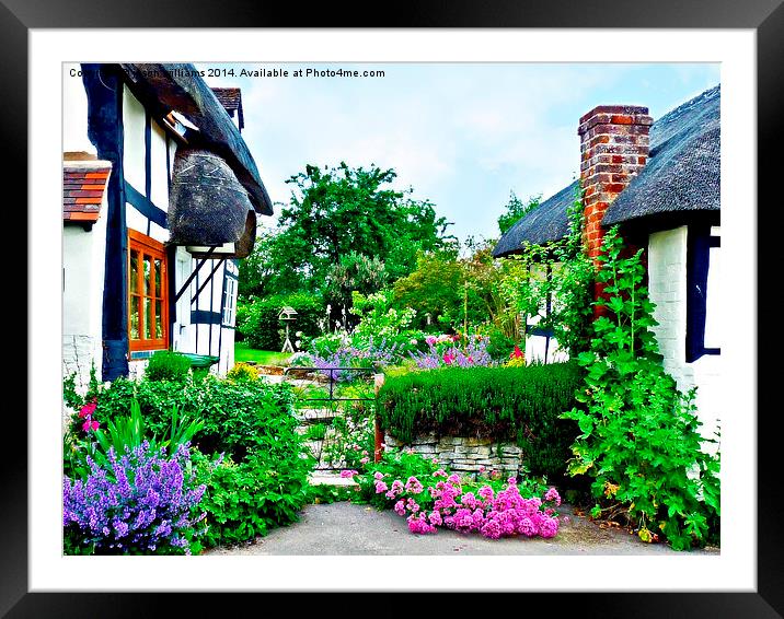  Cottage gardens in bloom.. Framed Mounted Print by Jason Williams