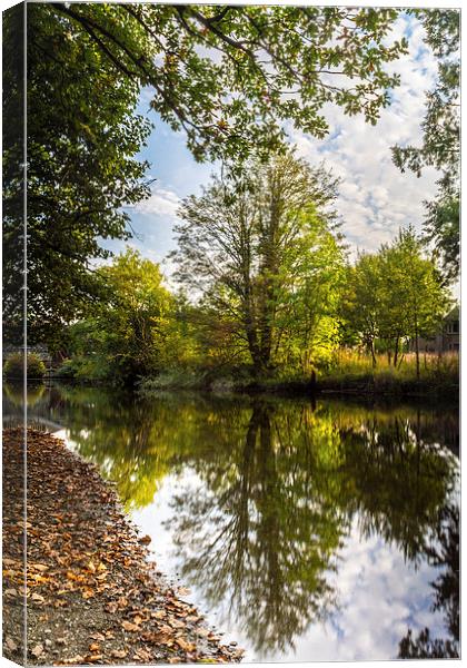 Reflections Canvas Print by keith franklin