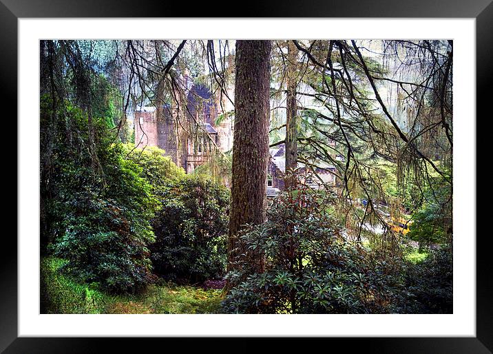  Magic Forest. Benmore Botanical Garden. Scotland  Framed Mounted Print by Jenny Rainbow