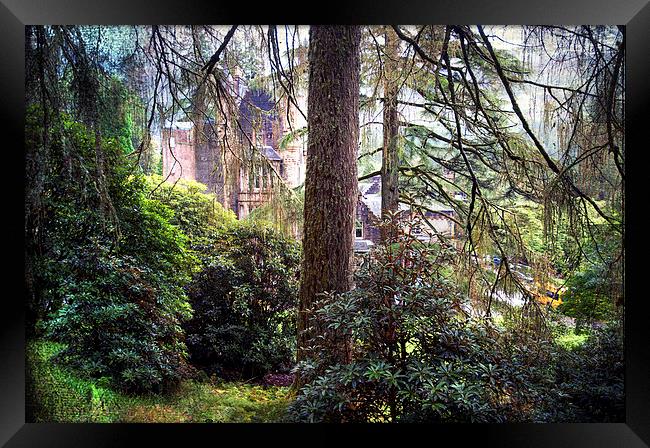  Magic Forest. Benmore Botanical Garden. Scotland  Framed Print by Jenny Rainbow