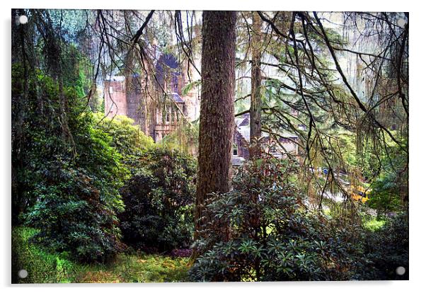  Magic Forest. Benmore Botanical Garden. Scotland  Acrylic by Jenny Rainbow