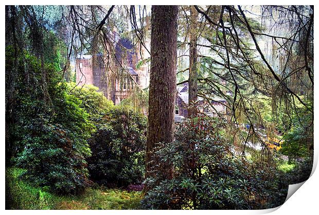  Magic Forest. Benmore Botanical Garden. Scotland  Print by Jenny Rainbow