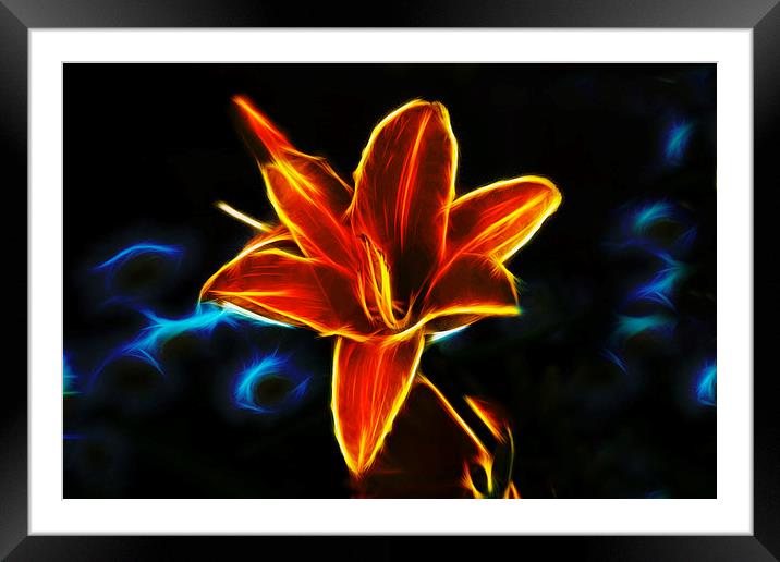 Neon Lily  Framed Mounted Print by Ian Mitchell