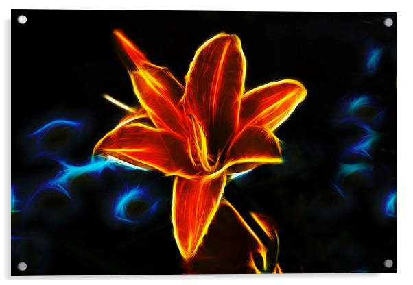 Neon Lily  Acrylic by Ian Mitchell