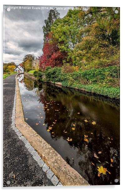 Canal Path Llangollen Acrylic by Adrian Evans