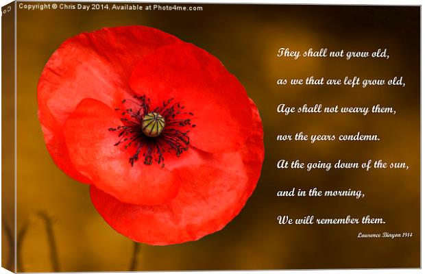 Remembrance Canvas Print by Chris Day