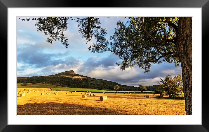  Roseberry Topping Tree Framed Mounted Print by keith sayer