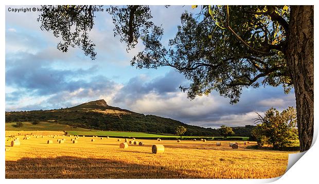  Roseberry Topping Tree Print by keith sayer