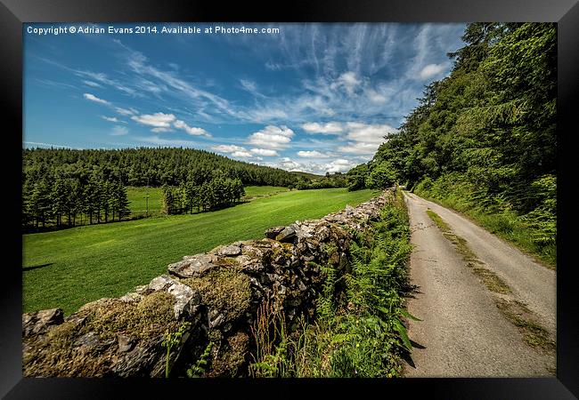 Country Lane Framed Print by Adrian Evans