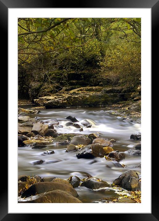 Autumn on the River Swale Framed Mounted Print by David Borrill