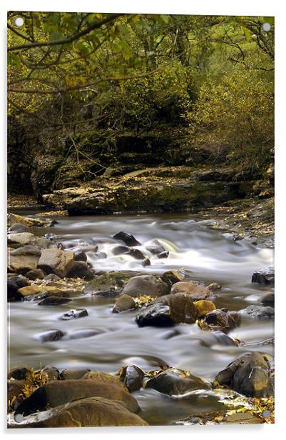 Autumn on the River Swale Acrylic by David Borrill