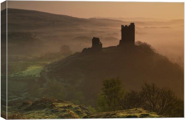  Dolwyddelan castle Canvas Print by Rory Trappe
