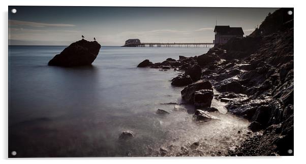  Mumbles pier rocks Acrylic by Leighton Collins