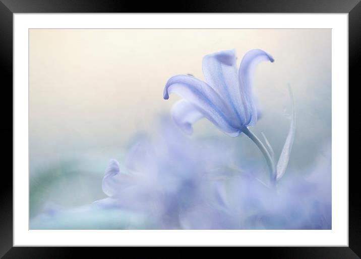  Aethereal Blue  Framed Mounted Print by Jenny Rainbow