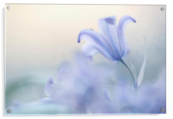 Aethereal Blue  Acrylic by Jenny Rainbow
