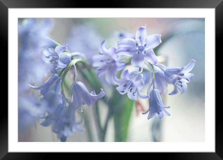  Ethereal BlueBells  Framed Mounted Print by Jenny Rainbow