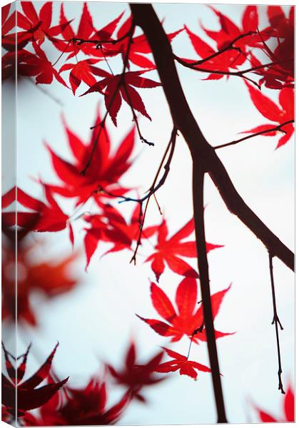 Autumn Painting in Japanese Style Canvas Print by Jenny Rainbow