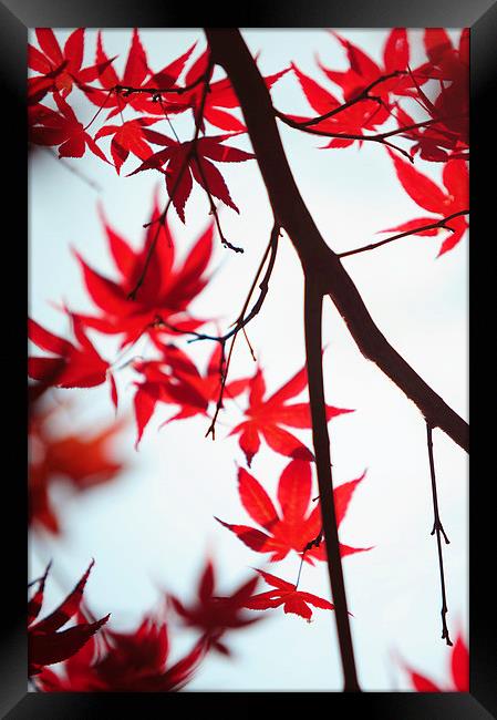  Autumn Painting in Japanese Style Framed Print by Jenny Rainbow