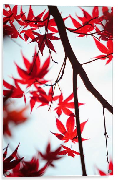  Autumn Painting in Japanese Style Acrylic by Jenny Rainbow