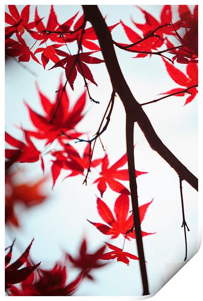  Autumn Painting in Japanese Style Print by Jenny Rainbow