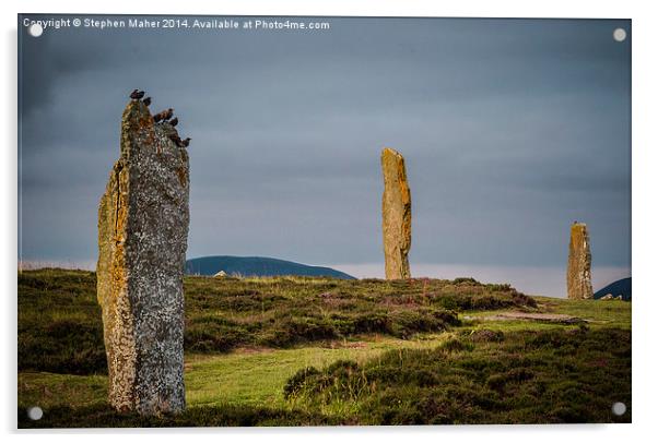  Birds on Orkney Standing Stone Acrylic by Stephen Maher