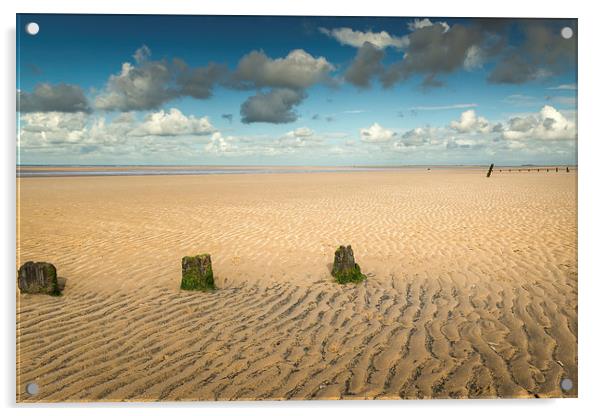  Stumps on Brancaster Beach Acrylic by Stephen Mole