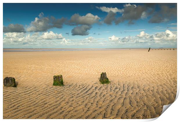  Stumps on Brancaster Beach Print by Stephen Mole