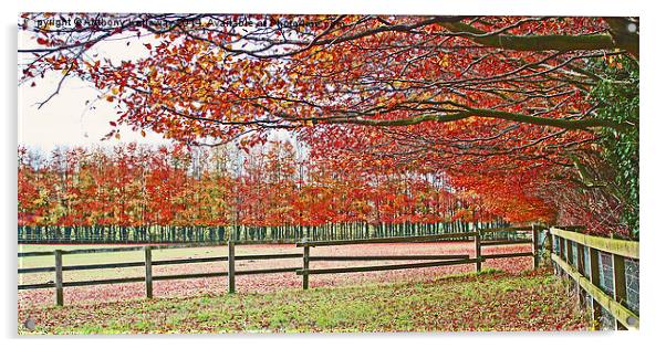  AUTUMN COLOURS Acrylic by Anthony Kellaway