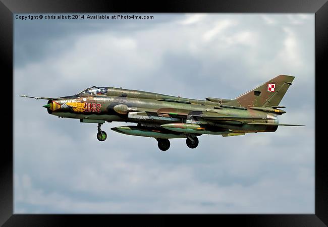  Su-22's of the Polish airforce Framed Print by chris albutt