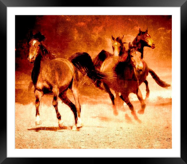  Arabian Knights Framed Mounted Print by Alan Mattison
