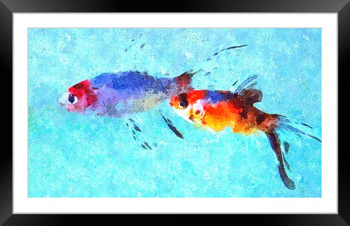  2 FOR THE MONEY   Framed Mounted Print by dale rys (LP)