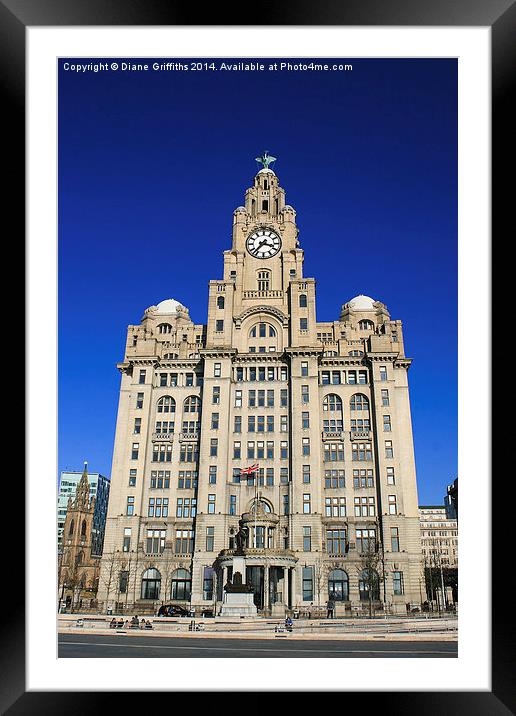  The Liver Building Framed Mounted Print by Diane Griffiths