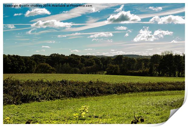  Chilterns Countryside Print by colin chalkley