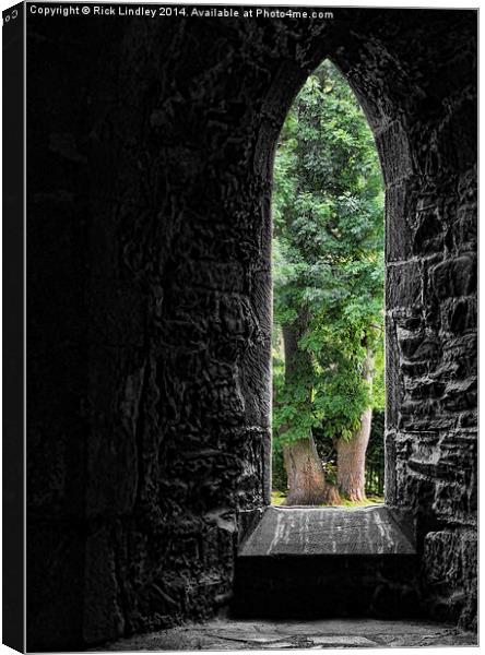  The Window Canvas Print by Rick Lindley