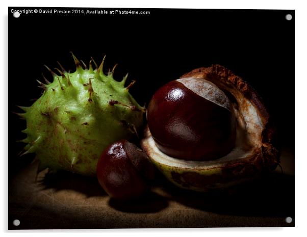  Fruits of Autumn Acrylic by David Preston