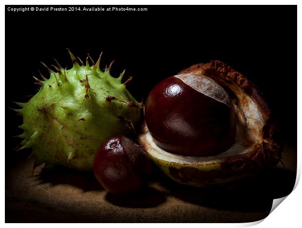  Fruits of Autumn Print by David Preston