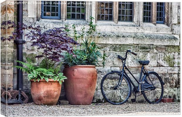 Pots and Bicycle Canvas Print by Paul Stevens