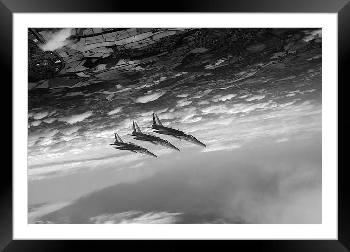 Gnats inverted black and white version Framed Mounted Print by Gary Eason