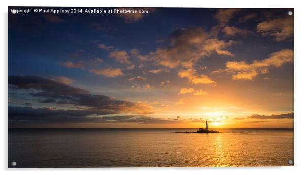  St. Mary's Lighthouse - Sunrise Acrylic by Paul Appleby