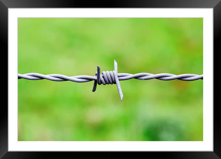  Sharp Barbed wire node Framed Mounted Print by Ankor Light