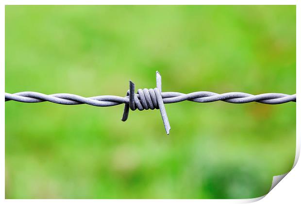  Sharp Barbed wire node Print by Ankor Light