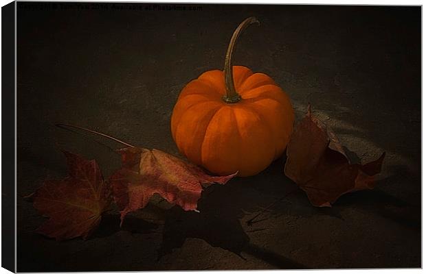 It's Autumn Canvas Print by Tom York