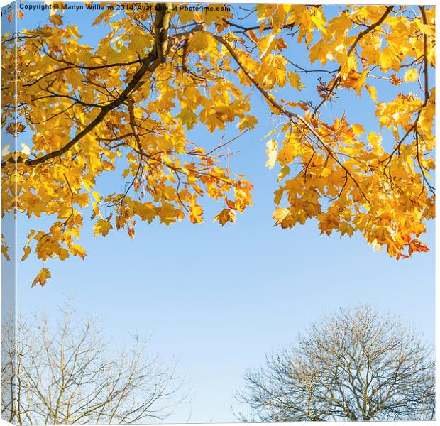 Autumn Leaves Canvas Print by Martyn Williams