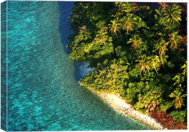  Tropical Island from Above. Aerial Journey over M Canvas Print by Jenny Rainbow
