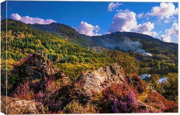  Overview of the Loch Achray  Canvas Print by Jenny Rainbow