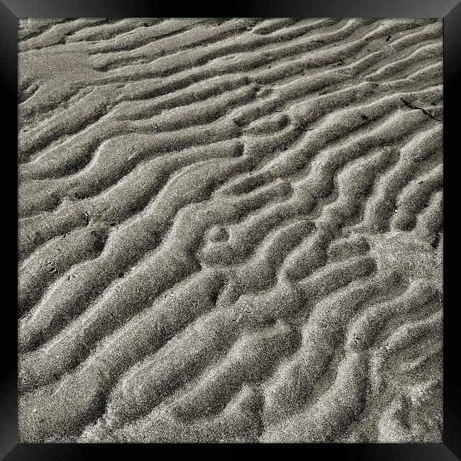  monochrome beach Framed Print by Heather Newton