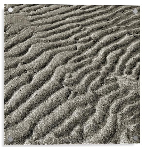  monochrome beach Acrylic by Heather Newton